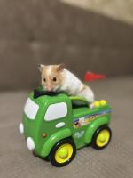 1 июня Международный день защиты детей